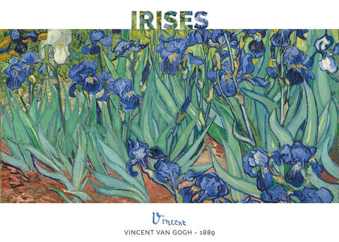 Irises - Vincent Van Gogh