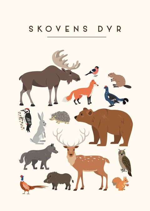 Skovens dyr - Børneplakat