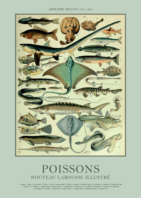 Poissons - Adolphe Millot vintage leksikon plakat