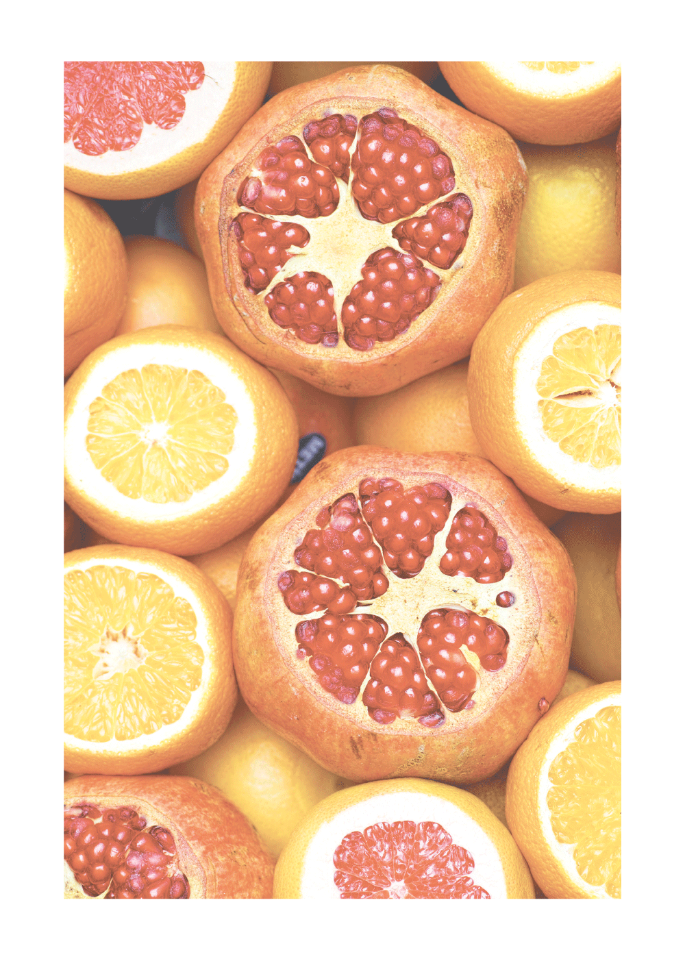 Citrus fruits - plakat