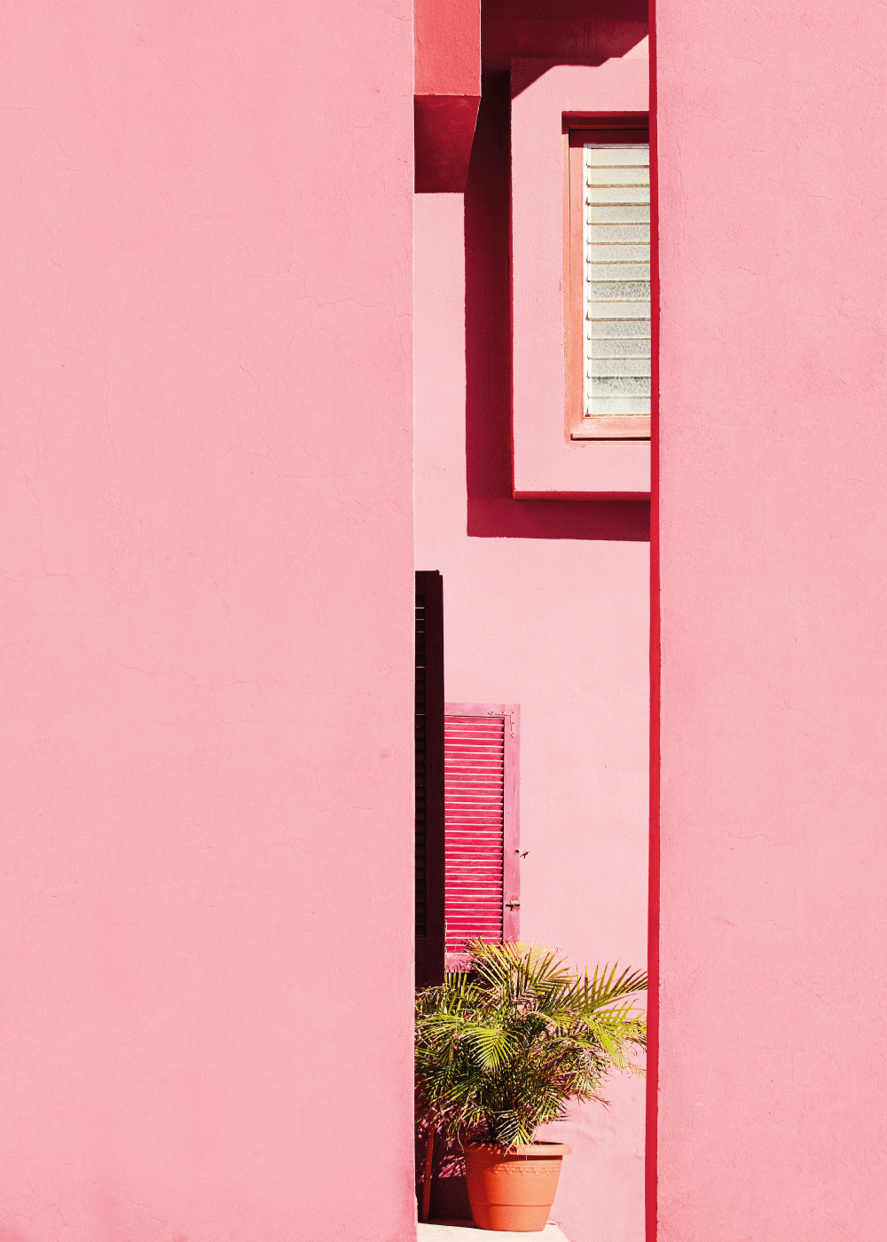 Billede af Pink walls - Arkitektur plakat