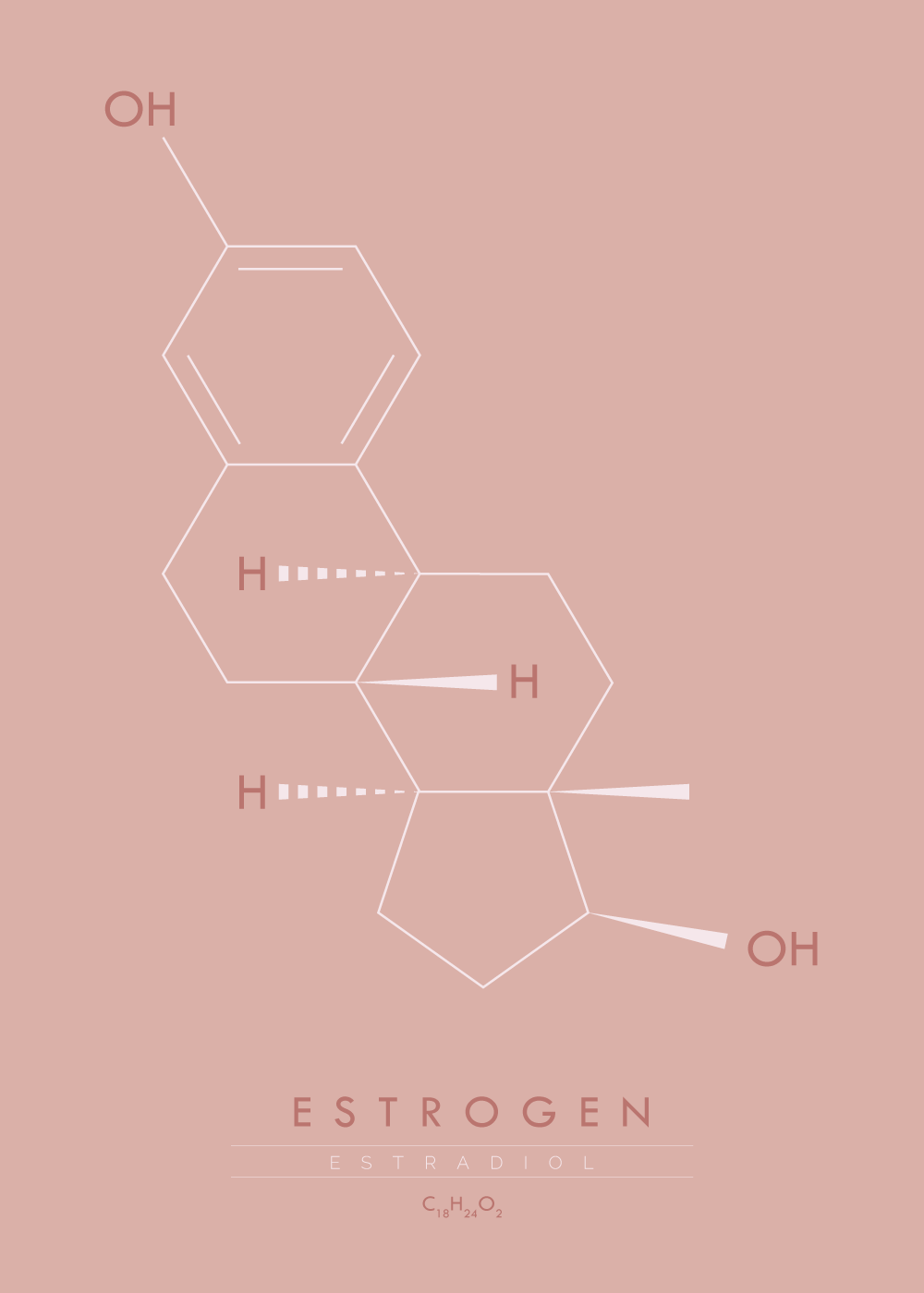 Billede af Estrogen - Molekyle plakat