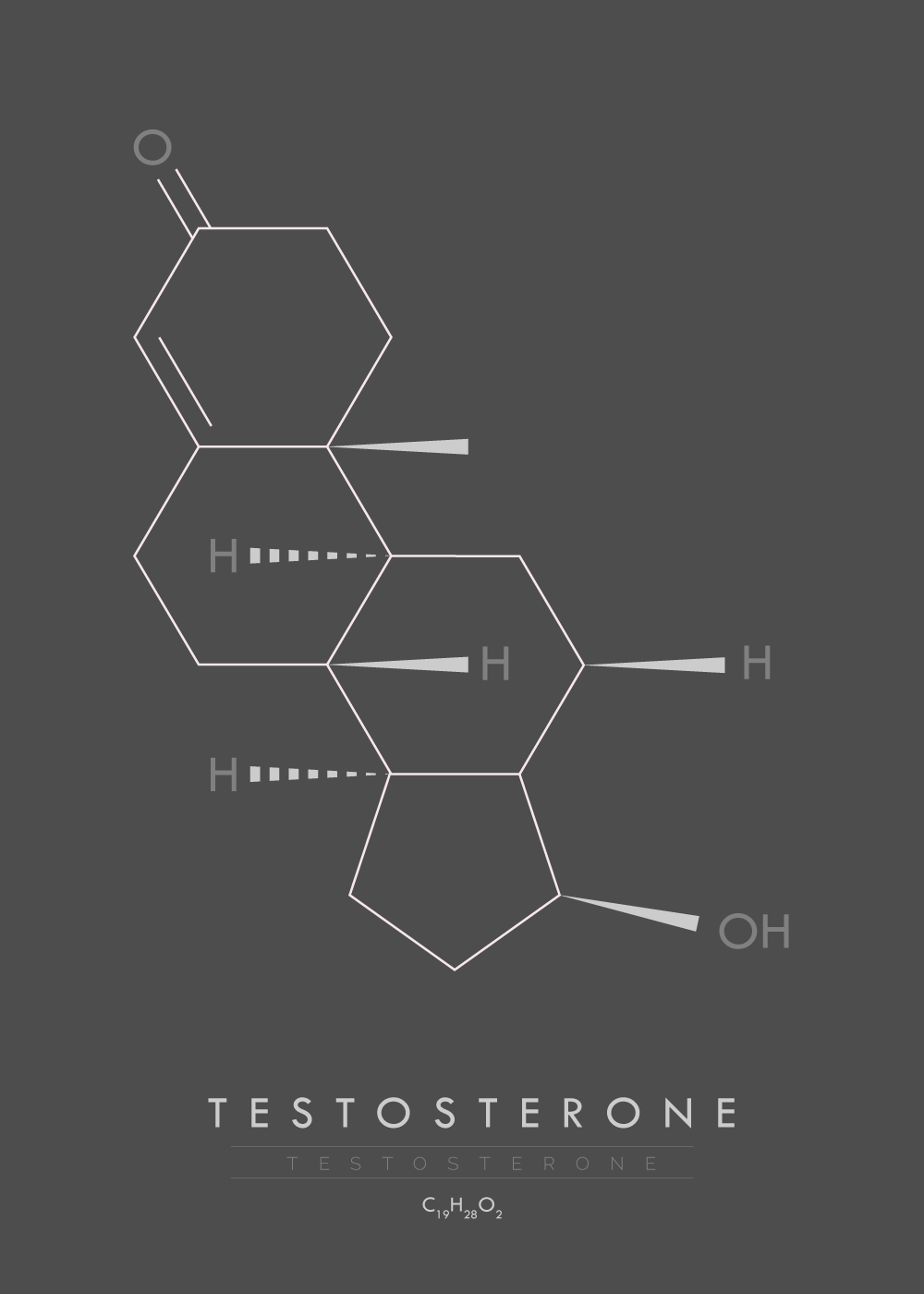 Billede af Testosterone - Molekyle plakat